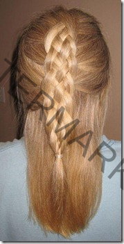 braided hair 13