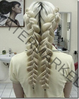 braided hair 8