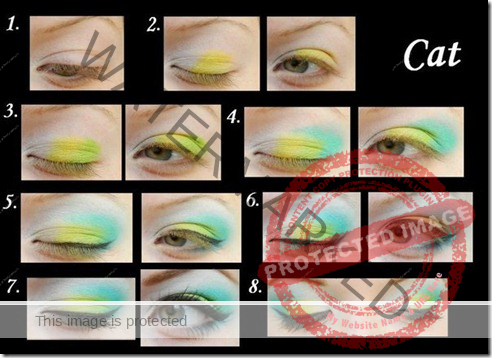 makeup sep by step 75